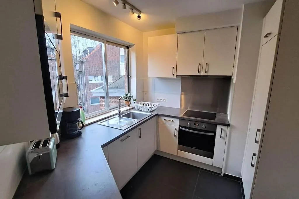Chez La Baronne Apartment Brussels Belgium