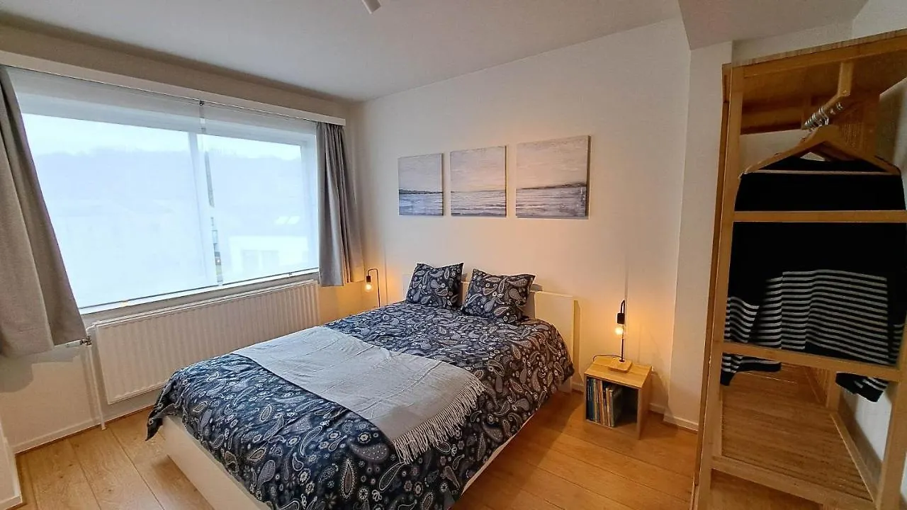 Chez La Baronne Apartment Brussels Belgium